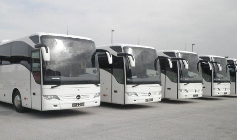 Tuscany: Bus company in Carrara in Carrara and Italy