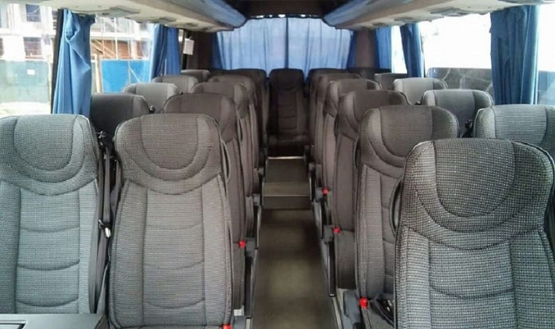 Italy: Coach hire in Marche in Marche and Ancona