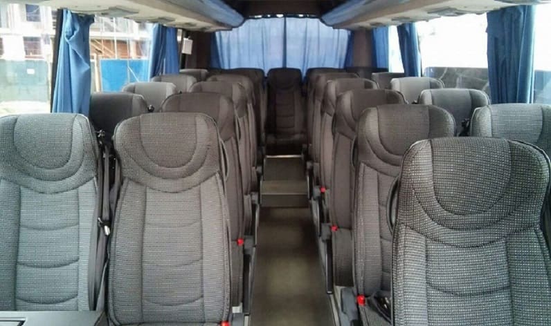 Italy: Coach hire in Tuscany in Tuscany and Viareggio